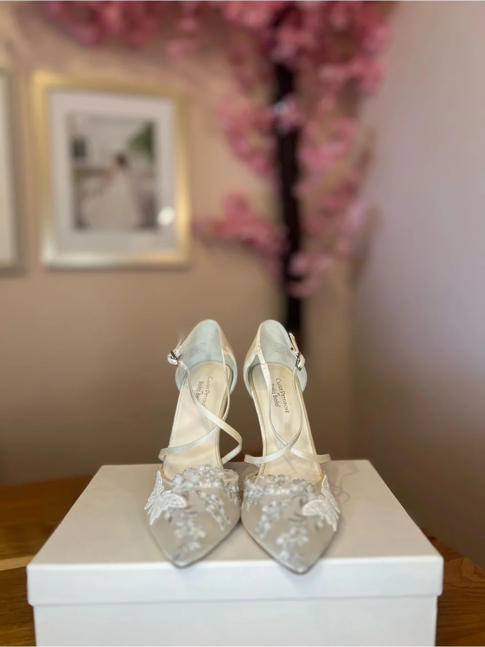 Bella Belle - Mariposa Ivory Lace Embellished Pointed T-Strap Heels - Picture 2 of 5